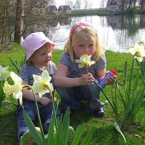 Vakantiepark het Timmerholt  - Camping Midden-Drenthe - Afbeelding N°6
