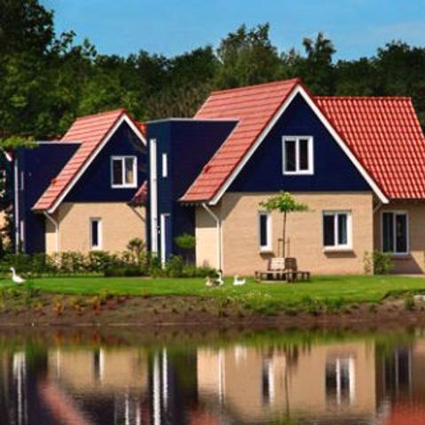 Vakantiepark het Timmerholt  - Camping Midden-Drenthe - Afbeelding N°4