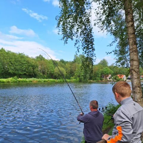 Vakantiepark het Timmerholt  - Midden-Drenthe - Afbeelding N°4