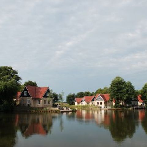 Vakantiepark het Timmerholt  - Camping Midden-Drenthe - Afbeelding N°5