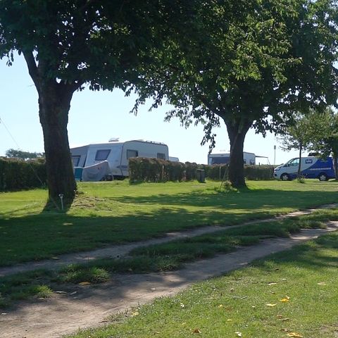 Camping la Dolce Vita (voorheen Eussen) - Camping Voerendaal - Afbeelding N°2