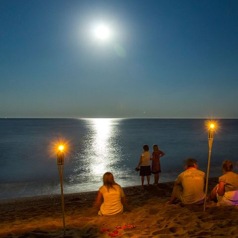 Camping El Pinar  - Girona - Afbeelding N°3