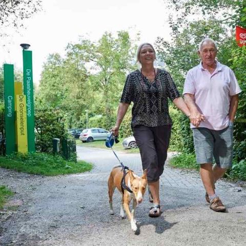 Camping de Gronselenput - Camping Gulpen-Wittem - Afbeelding N°4