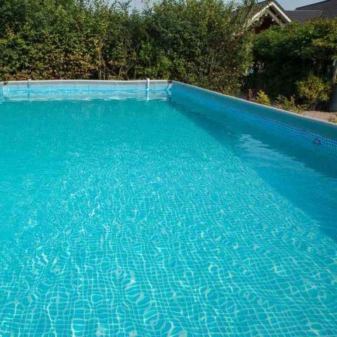 Camping de Kuilen  - Camping Someren - Afbeelding N°2
