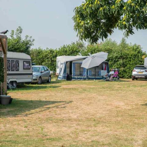 Camping de Kuilen  - Camping Someren - Afbeelding N°5