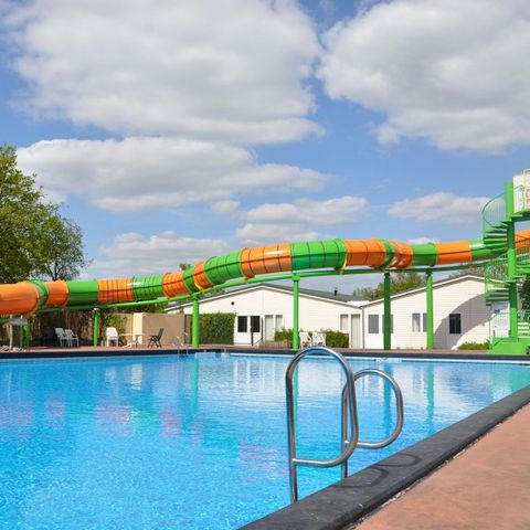 Camping de Schatberg - Camping Horst aan de Maas - Afbeelding N°5