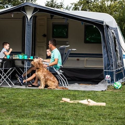 Kampeerplaats - Comfortplaats M hond toegestaan