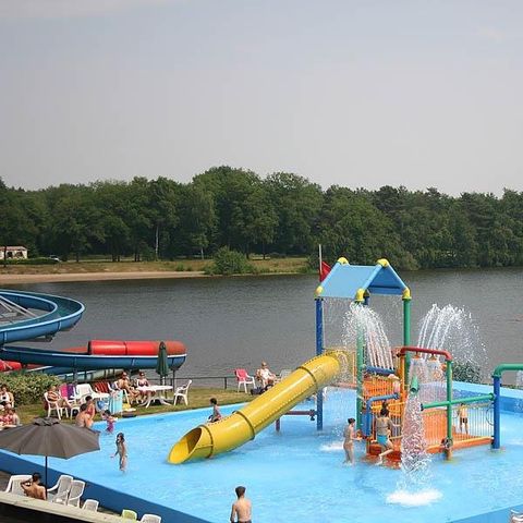 Camping de Schatberg - Camping Horst aan de Maas - Afbeelding N°5