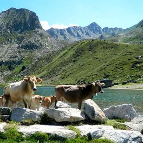 Camping du Lac Mercus - Camping Ariège - Afbeelding N°2