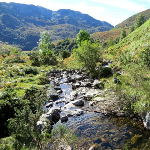 Camping du Lac Mercus - Camping Ariège - Afbeelding N°3