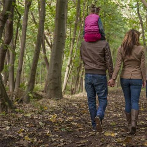 Roompot Kustpark Klein Poelland - Camping Renesse - Afbeelding N°6