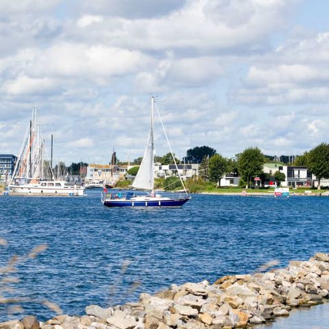 Roompot Harbour Village - Camping Middelburg - Afbeelding N°4