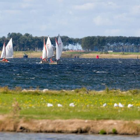 Roompot Harbour Village - Camping Middelburg - Afbeelding N°5