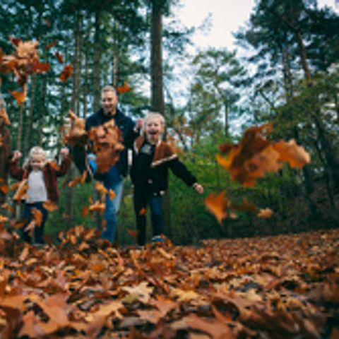 Roompot Park Eksel - Camping Luik - Afbeelding N°4