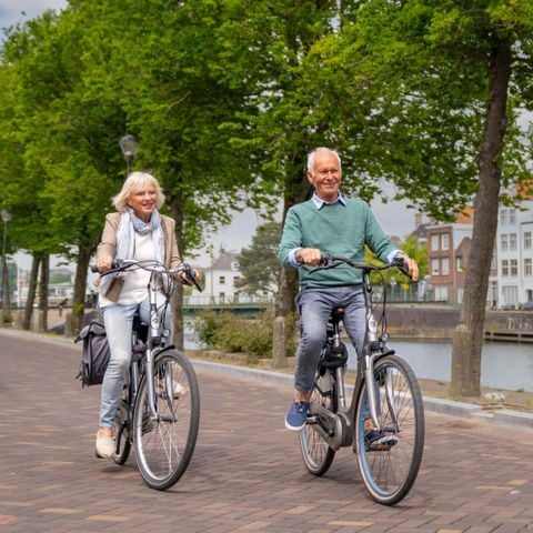 Landal Cape Helius - Hellevoetsluis - Afbeelding N°5