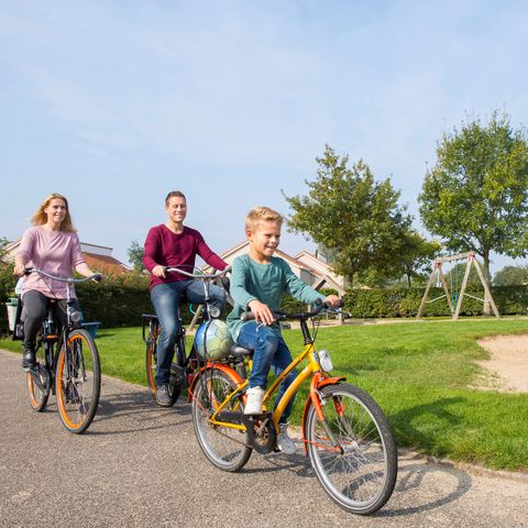 Roompot De Soeten Haert - Camping Renesse - Afbeelding N°3