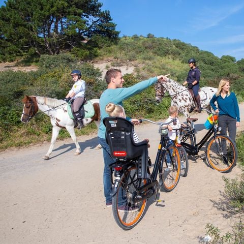 Landal De Soeten Haert - Renesse - Afbeelding N°4