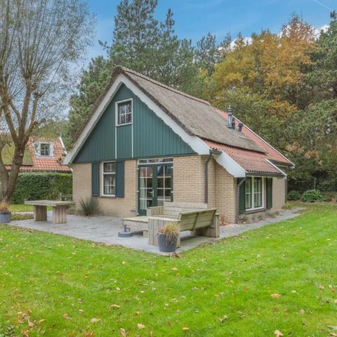 Bungalow 6 personen - T6B