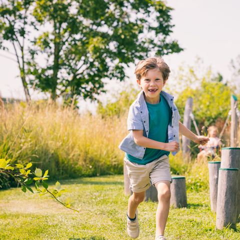Summio Vakantiepark Zeedijk - Camping Goeree-Overflakkee - Afbeelding N°3