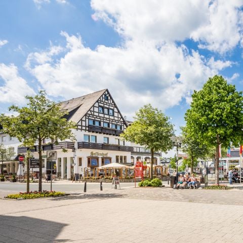 Landal Bergresort Winterberg - Noordrijn-Westfalen - Afbeelding N°6