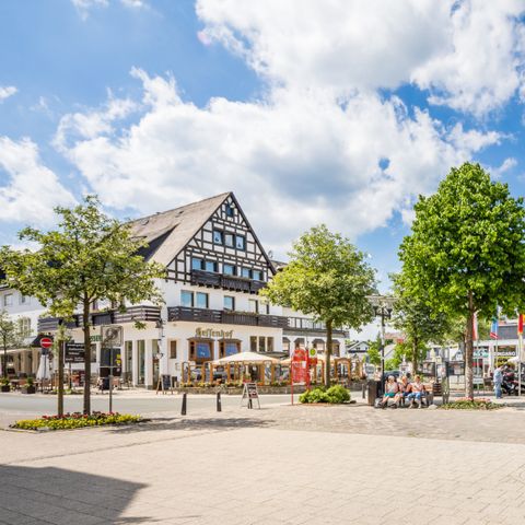 Roompot Bergresort Winterberg - Camping Noordrijn-Westfalen - Afbeelding N°6