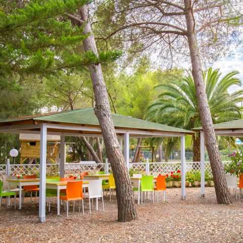 Camping Toscana Bella - Camping Livorno - Afbeelding N°6