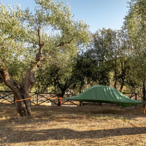 Kampeerplaats - Locatie Terras