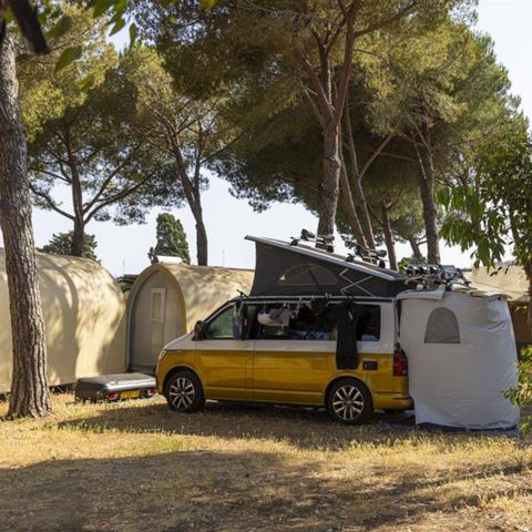 Kampeerplaats - Locatie dennenbos
