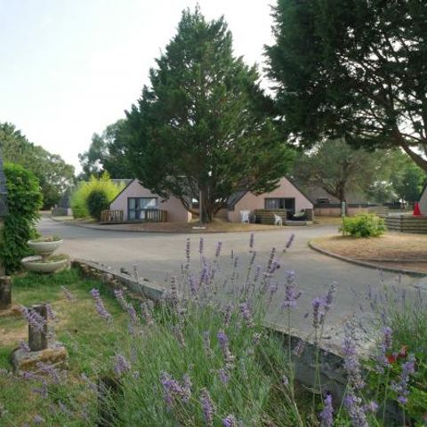 Village Vacances Ty An Diaoul - Camping Morbihan - Afbeelding N°3