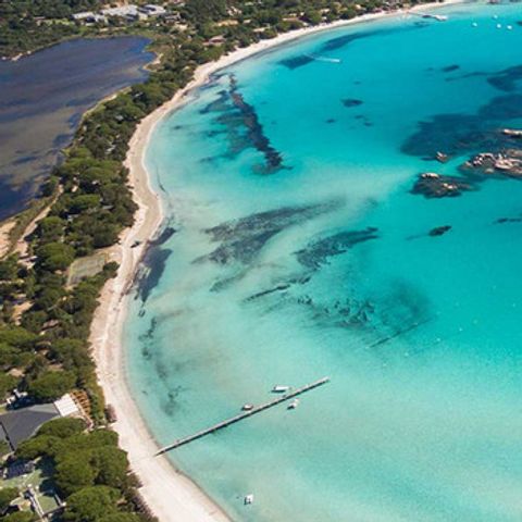 Camping Gallina Varja - Camping Zuid-corsica - Afbeelding N°2