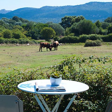 Camping Gallina Varja - Camping Zuid-corsica - Afbeelding N°3