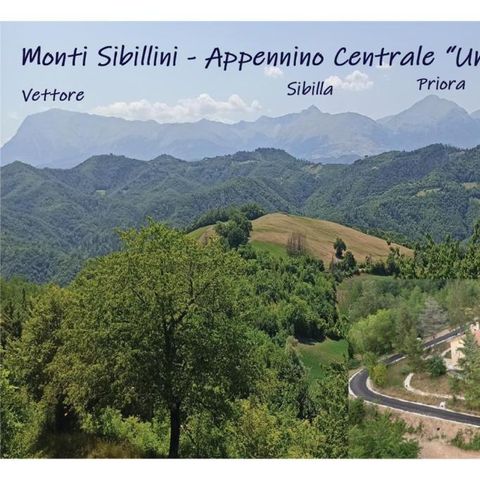 Saecula Natural Village Experience - Camping Fermo - Afbeelding N°5