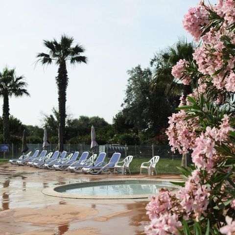 Club Belambra Le Vidourle - Camping Gard - Afbeelding N°6
