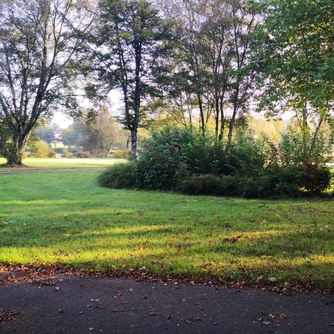 Camping de L'Etang - Camping Morbihan - Afbeelding N°2