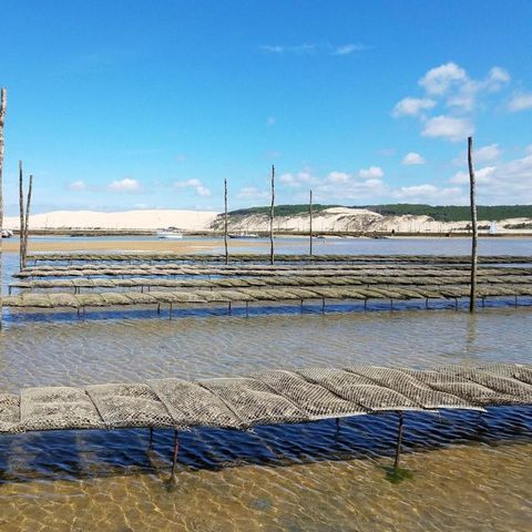 Camping ATC Routes du Monde La Hume - Camping Gironde - Afbeelding N°3