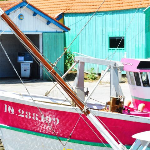 Camping ATC Routes du Monde Saint Pierre d'Oléron - Camping Charente-Maritime - Afbeelding N°4