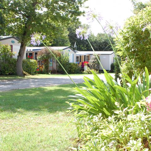 Camping ATC Routes du Monde Saint Pierre d'Oléron - Camping Charente-Maritime - Afbeelding N°2