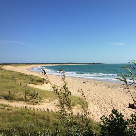 Camping ATC Routes du Monde Saint Pierre d'Oléron - Camping Charente-Maritime - Afbeelding N°3