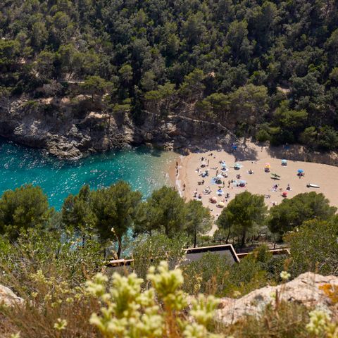  Pola Giverola Latroupe Camp - Camping Girona - Afbeelding N°2