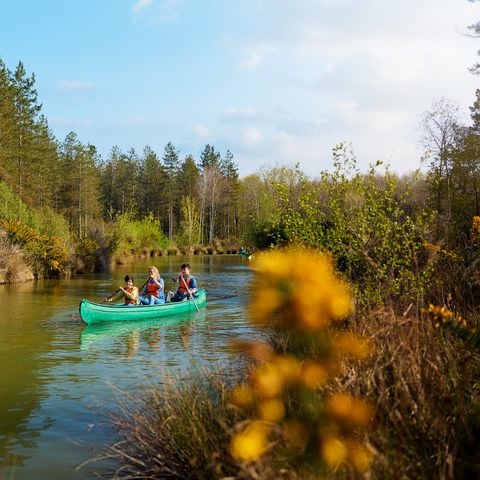 Center Parcs Le Bois aux Daims - Vienne - Afbeelding N°6