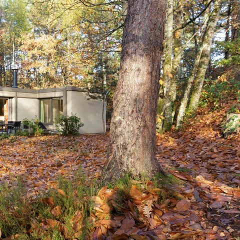 Bungalow 4 personen - Premium CH288