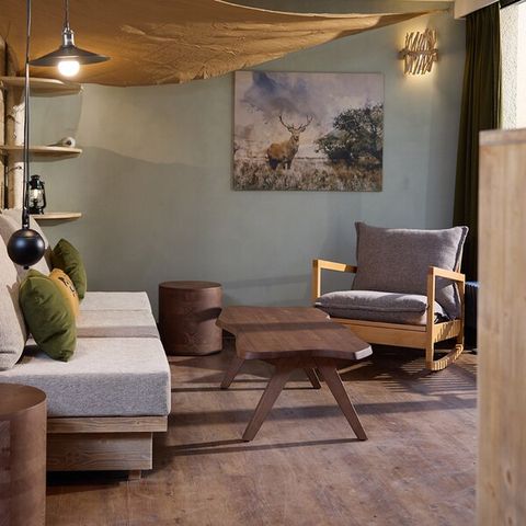 Accommodatie 4 personen - Into the Wild CH2741