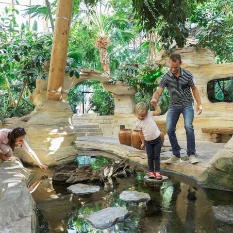 Center Parcs Les Trois Forêts - Camping Moselle - Afbeelding N°5