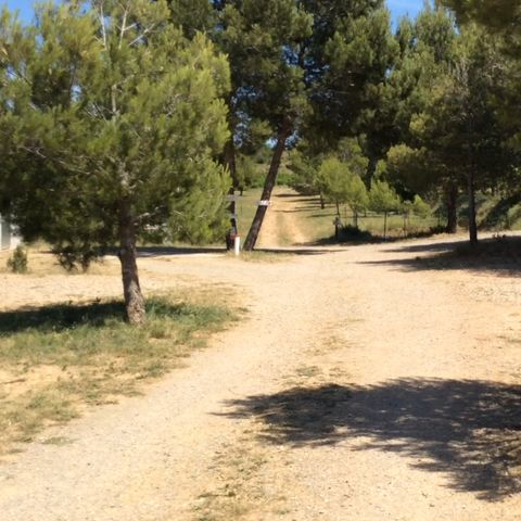 Camping les 3 Serres - Camping Aube - Afbeelding N°3