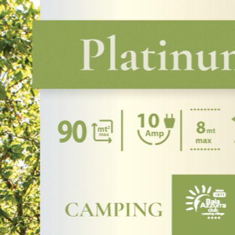 STAANPLAATS - Platinum Plus 10 Amp slot