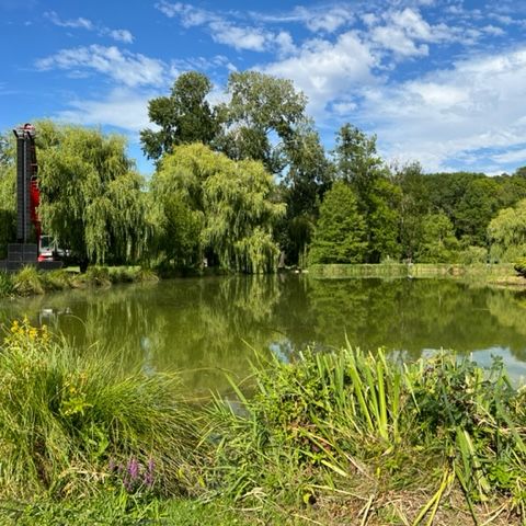 Camping La Rivière Dorée - Camping Seine-et-Marne - Afbeelding N°2