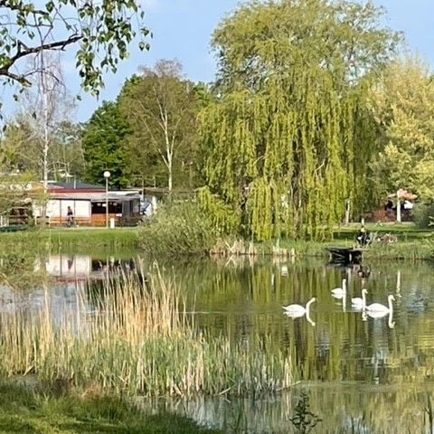 Camping Coeur d'Alsace - Camping Bas-Rhin - Afbeelding N°3