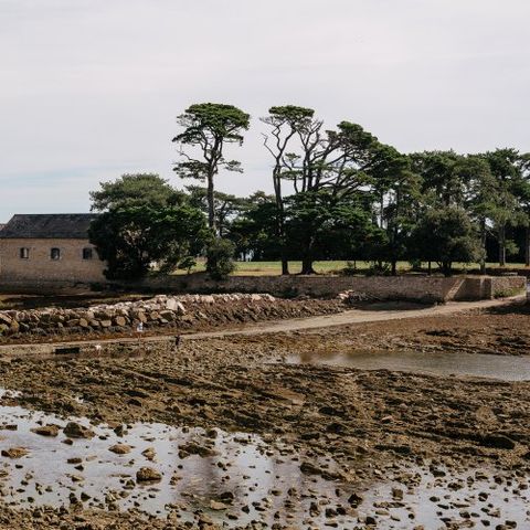 VVF Villages Larmor Baden - Camping Morbihan - Afbeelding N°5
