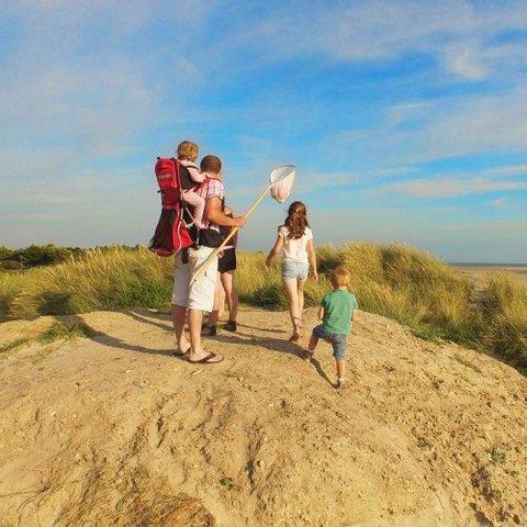 VVF Villages - Les îles Anglo-Normandes - Portbail - Camping Manche - Afbeelding N°6