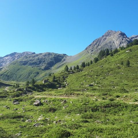 VVF Villages Meribel-Mottaret - Camping Savoie - Afbeelding N°3